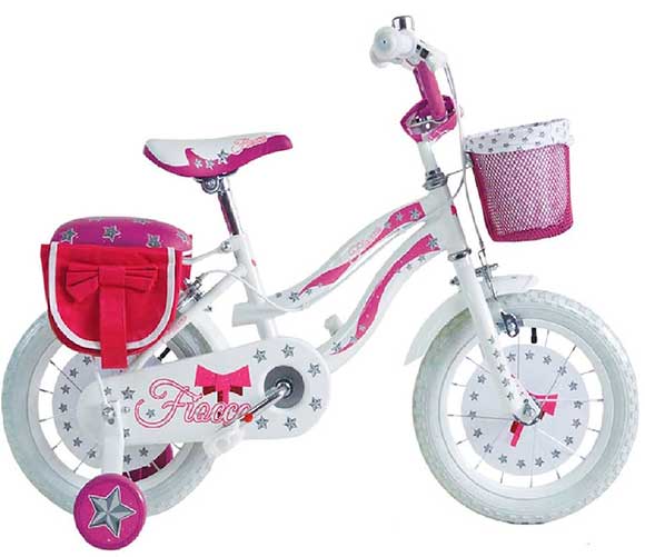 Bicicletta Bambina 3-5 Anni FROZEN Disney Idea Regalo Originale con  Accessori